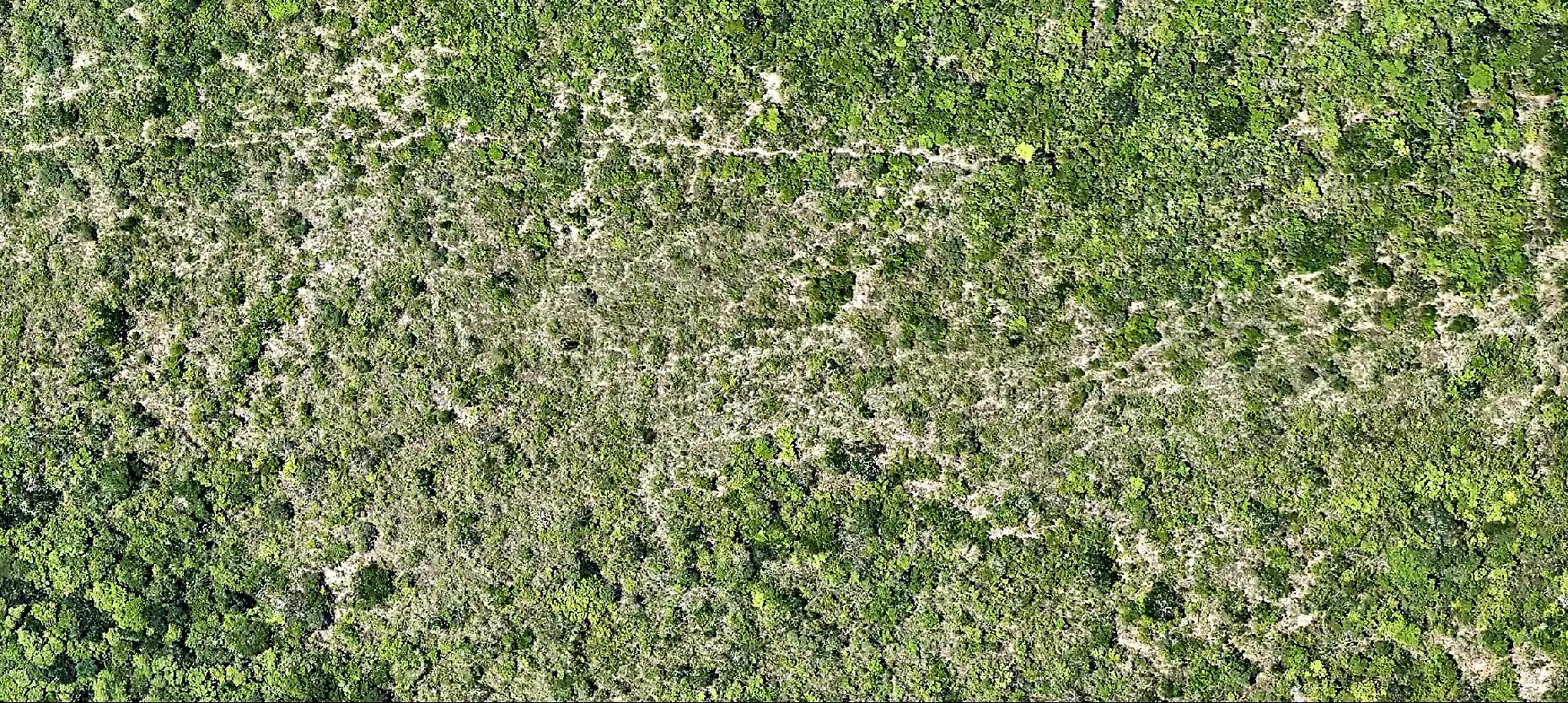 Vista aérea da área antes da supressão, com vegetação contínua.